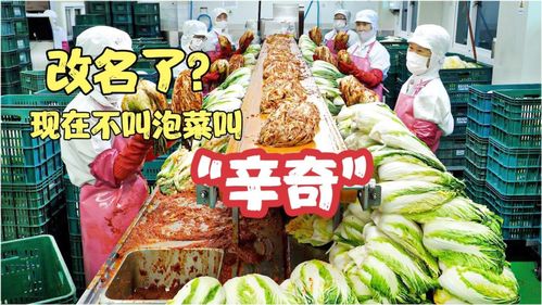 雨軒齋清真食品 堅(jiān)守“辛奇”品質(zhì)，踐行HACCP最高衛(wèi)生標(biāo)準(zhǔn)